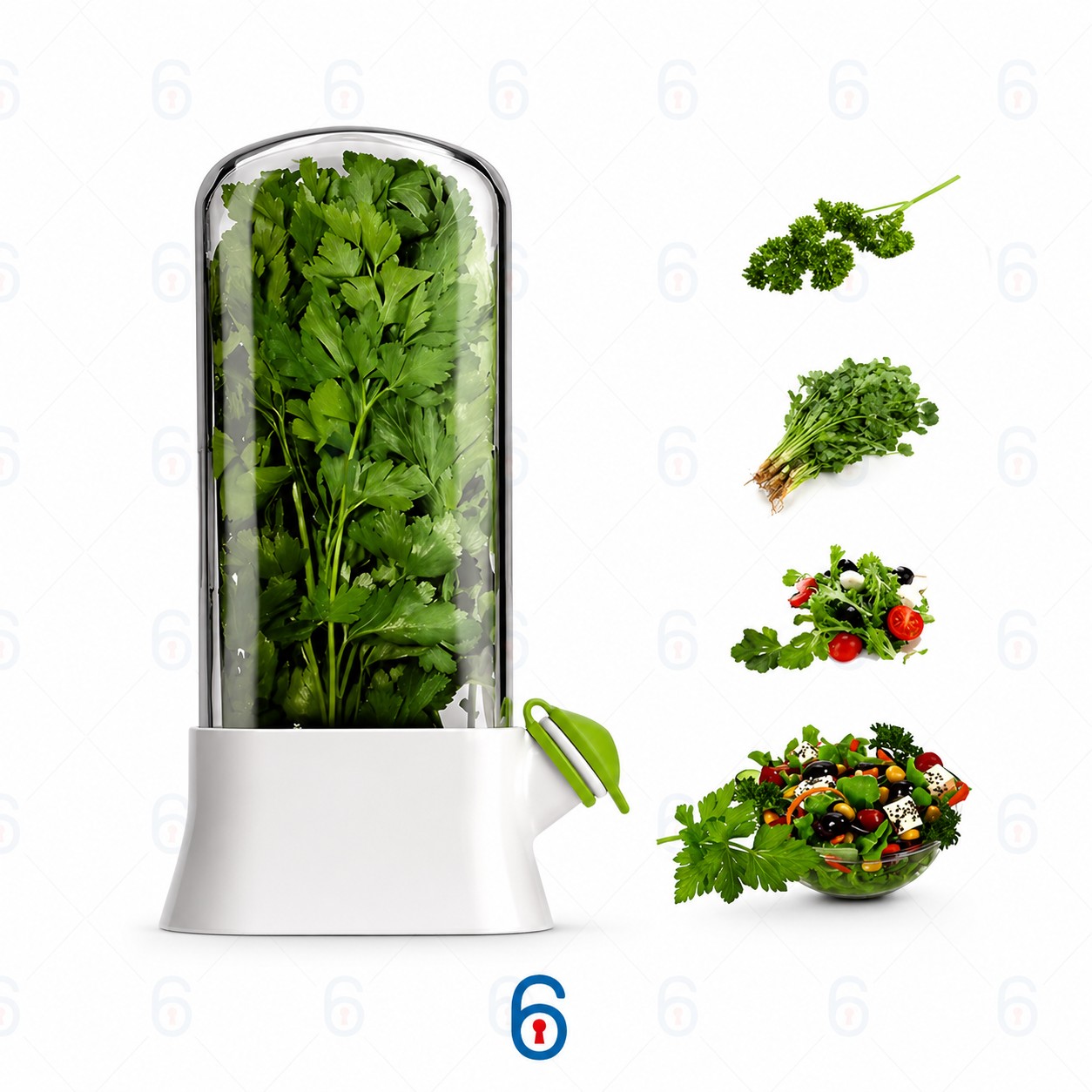Vegetables and Herbs Keeper – Keep Your Greens Fresh for Days