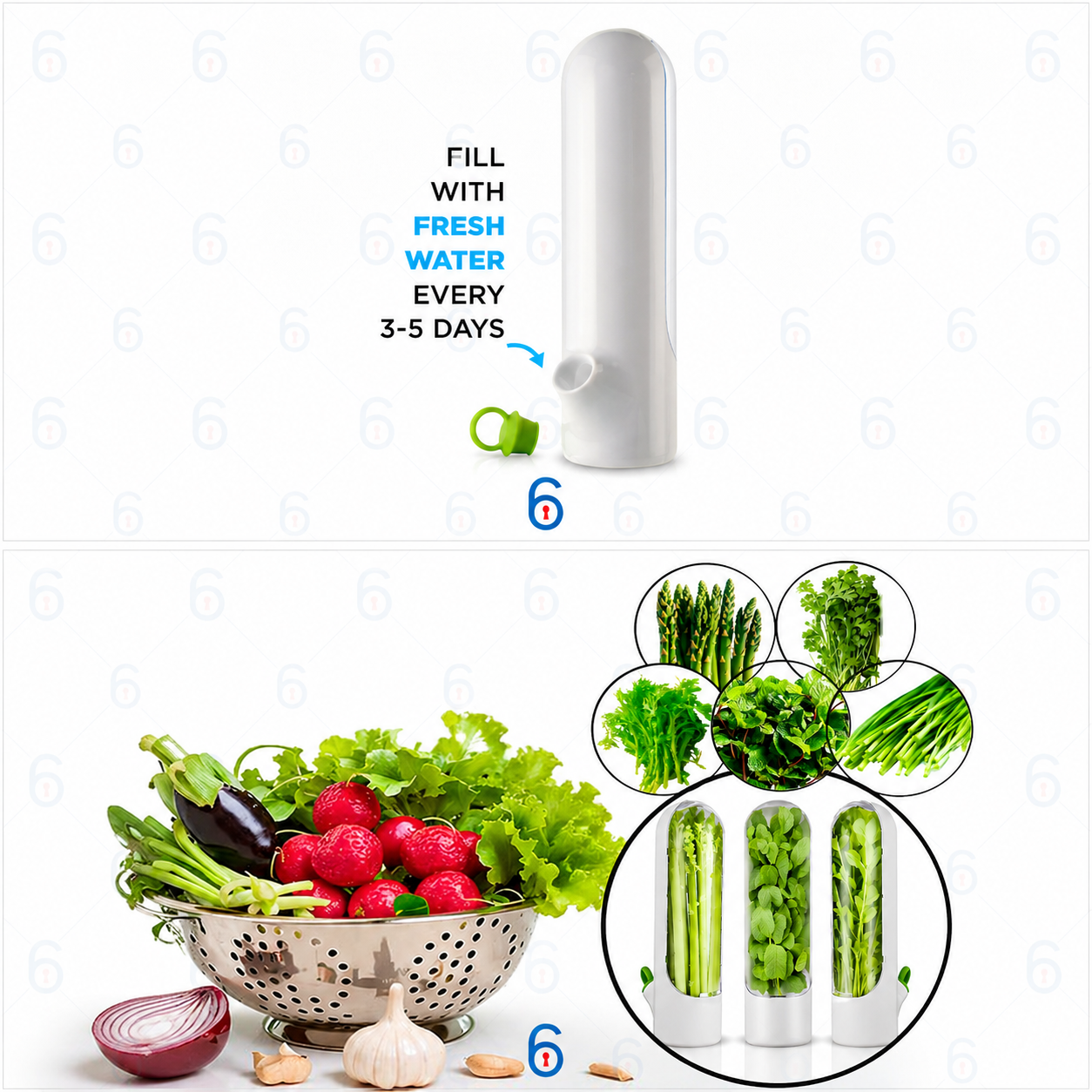 Vegetables and Herbs Keeper – Keep Your Greens Fresh for Days